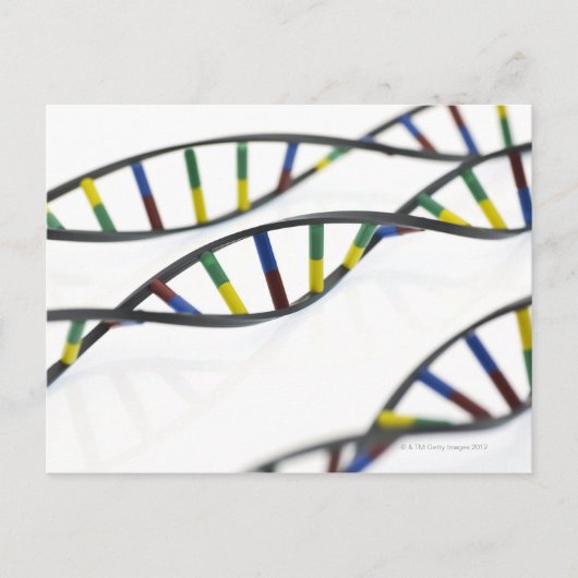 Carte Postale molécules d'ADN (acide désoxyribonucléique). (Devant)