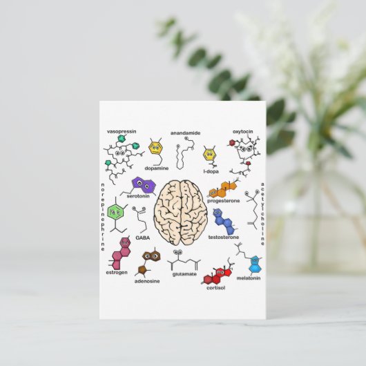 Carte Postale Molecules Galore ! (Debout devant)