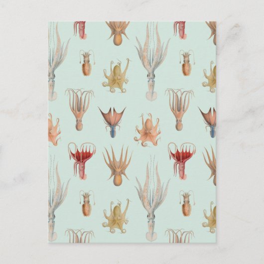 Carte Postale Mollusques vintages (bleu) (Devant)