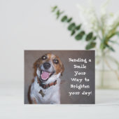 Carte Postale Molly Sourit ! (Debout devant)