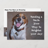 Carte Postale Molly Sourit ! (Devant / Derrière)