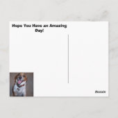 Carte Postale Molly Sourit ! (Dos)