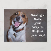 Carte Postale Molly Sourit ! (Devant)