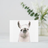 Carte Postale Moma Llama (Debout devant)