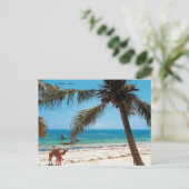 Carte postale Mombasa (Debout devant)