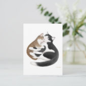 Carte postale Momcat (Debout devant)