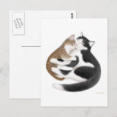 Carte postale Momcat (Devant / Derrière)