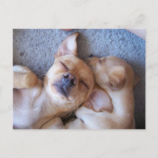 CARTE POSTALE MOMENT DANS LE TEMPS (Devant)