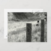 Carte Postale Moment de paix (Devant / Derrière)