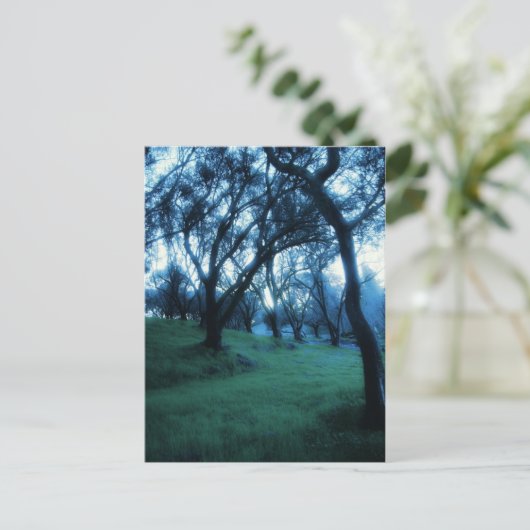 Carte Postale Moment éthérique (Debout devant)