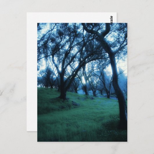 Carte Postale Moment éthérique (Devant / Derrière)