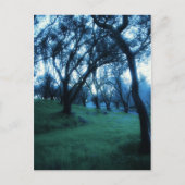 Carte Postale Moment éthérique (Devant)