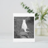 Carte Postale Moment zen (Debout devant)