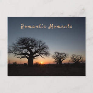 Carte Postale Moments romantiques Coucher de soleil Sacred Baoba