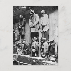 Carte Postale momies de catacombes à Palerme, Italie