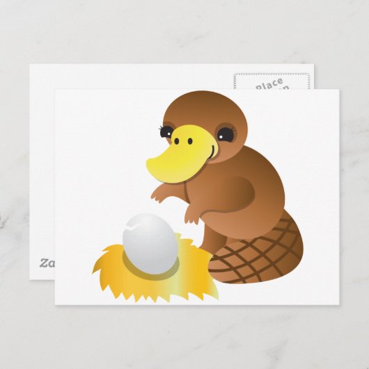 Carte Postale MOMMA platypus (Devant / Derrière)