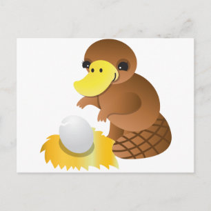 Carte Postale MOMMA platypus