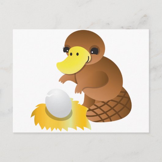 Carte Postale MOMMA platypus (Devant)