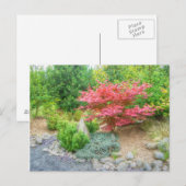 Carte Postale Momotaro Jardin japonais 3 (Devant / Derrière)