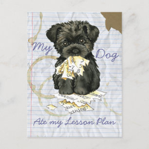 Carte Postale Mon Affenpinscher A Mangé Mon Plan De Leçon