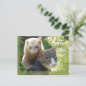 Carte Postale Mon ami (Debout devant)