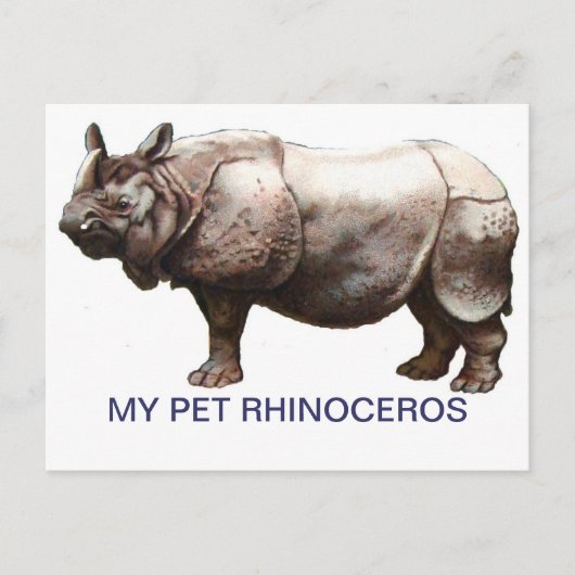 CARTE POSTALE MON ANIMAL RHINOCEROS (Devant)