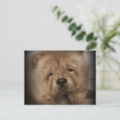 Carte Postale Mon Bébé (Debout devant)