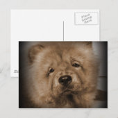 Carte Postale Mon Bébé (Devant / Derrière)