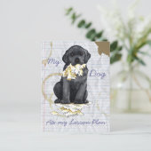 Carte Postale Mon Black Lab A Mangé Mon Plan De Leçon (Debout devant)