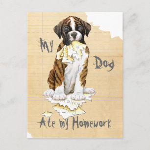 Carte Postale Mon Boxer A Mangé Mes Devoirs