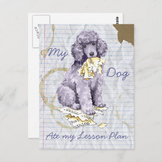 Carte Postale Mon caniche standard a mangé mon plan de leçon (Devant / Derrière)