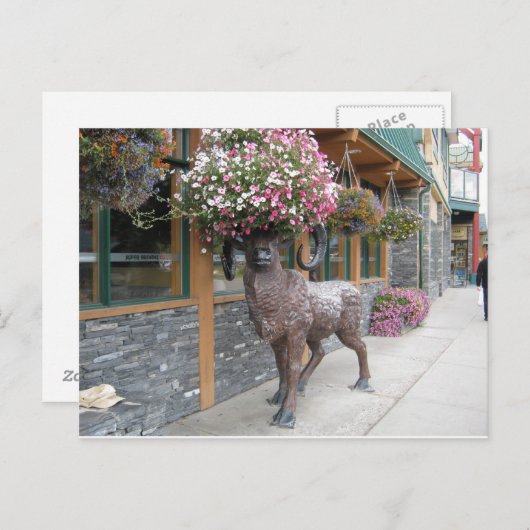 Carte Postale Mon Casquette de fleurs (Devant / Derrière)