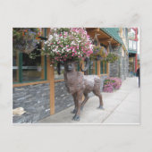 Carte Postale Mon Casquette de fleurs (Devant)