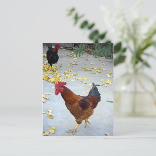 Carte Postale Mon chemin (Debout devant)