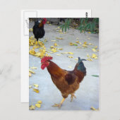 Carte Postale Mon chemin (Devant / Derrière)