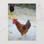 Carte Postale Mon chemin (Devant)