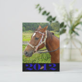 Carte postale Mon cheval (Debout devant)