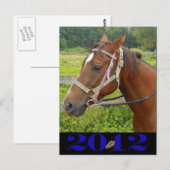 Carte postale Mon cheval (Devant / Derrière)