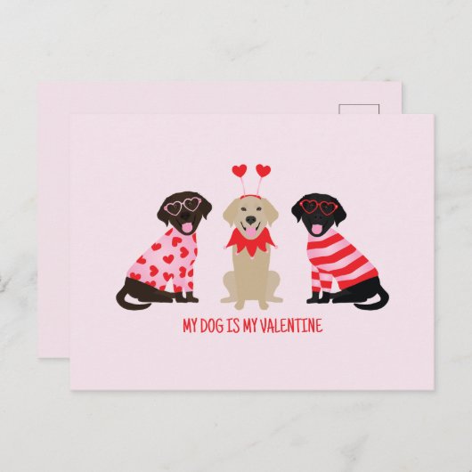 Carte Postale Mon Chien Est Mon Chien Valentin Labrador Retrieve (Devant / Derrière)