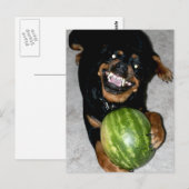 Carte Postale Mon chien Snoop aime les pastèques (Devant / Derrière)