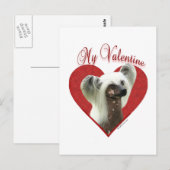 Carte Postale Mon Chinois Crested Valentine (Devant / Derrière)