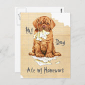 Carte Postale Mon Dogue de Bordeaux Mange Mes devoirs (Devant / Derrière)