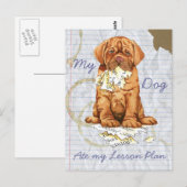 Carte Postale Mon Dogue de Bordeaux Mange Mon plan de leçon (Devant / Derrière)