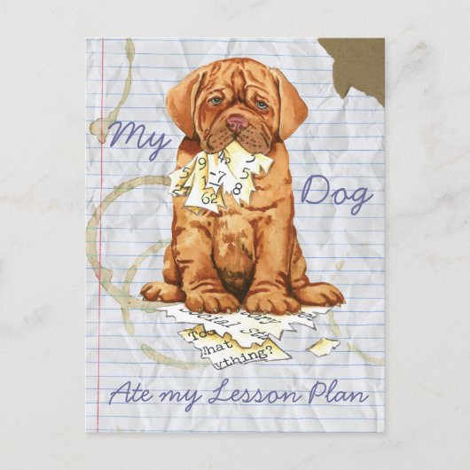 Carte Postale Mon Dogue de Bordeaux Mange Mon plan de leçon (Devant)
