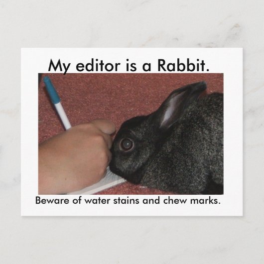 Carte Postale Mon éditeur est un lapin. (Devant)