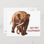 CARTE POSTALE MON ÉLÉPHANT ANIMAL (Devant / Derrière)