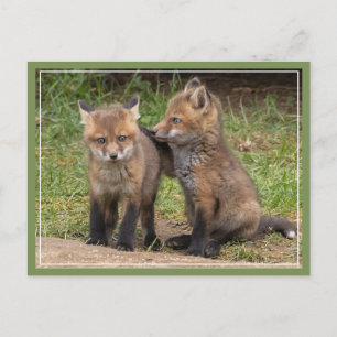 Carte Postale Mon frère/soeur Mon ami