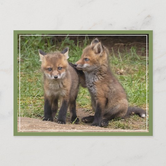 Carte Postale Mon frère/soeur Mon ami (Devant)