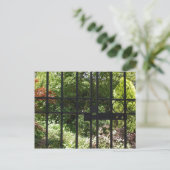 Carte Postale Mon jardin secret (Debout devant)