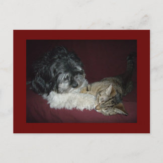 Carte Postale Mon meilleur ami